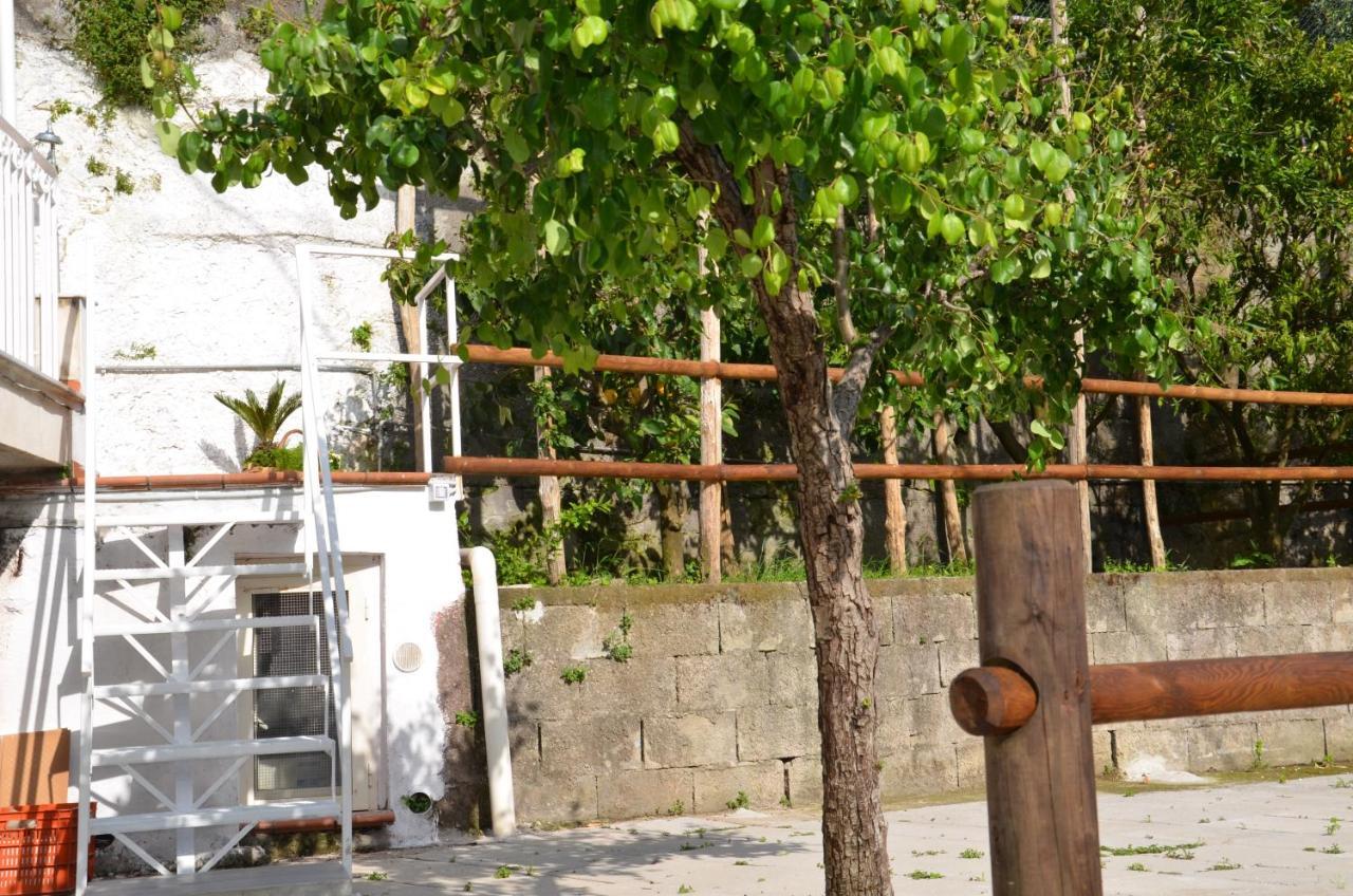 Villa Luciana 圣安吉洛 外观 照片