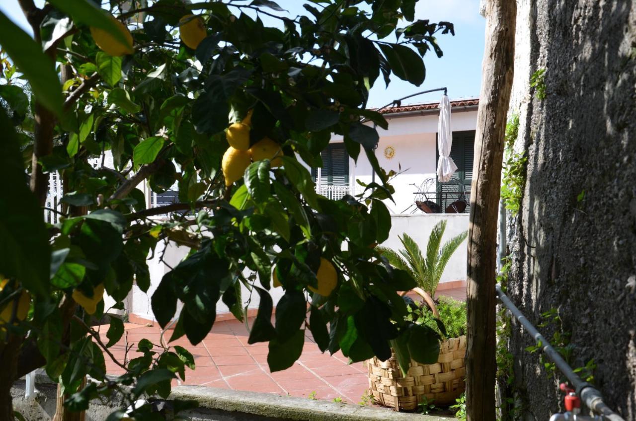 Villa Luciana 圣安吉洛 外观 照片